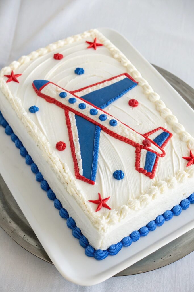 Airplane Wing Cake