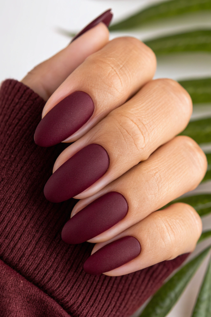 Burgundy Nail Designs with Matte Finish